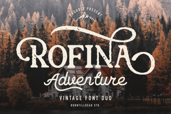 Rofina Font: Creative Typography for Modern Design